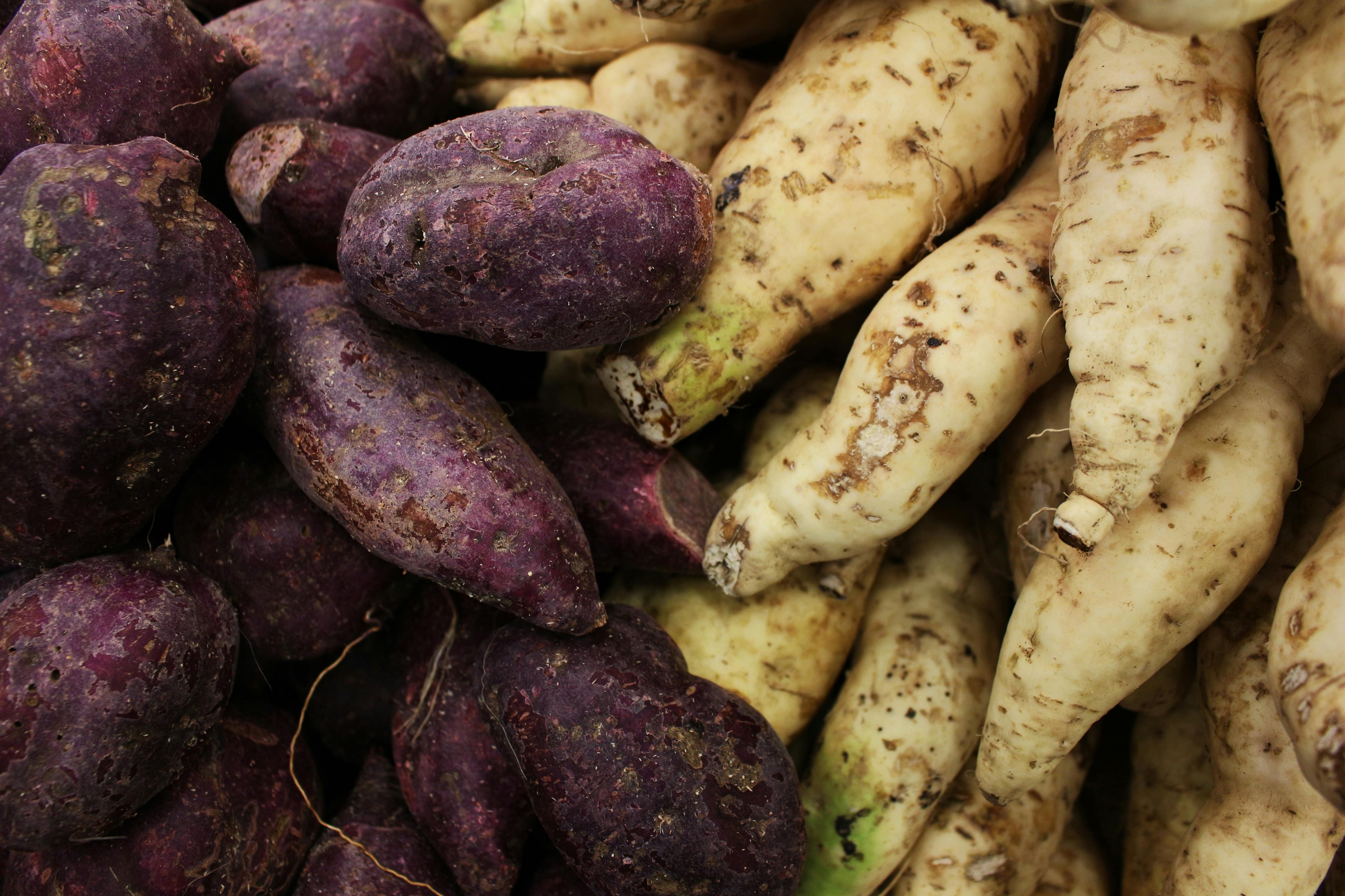 pexels-daniel-dan-47825192-7543201.jpg