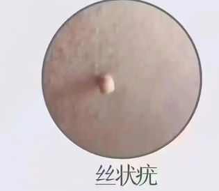 1525013340168228.png 微信图片_20260708152436.png