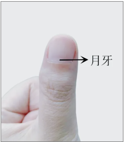 1554318956632652.png 333.png