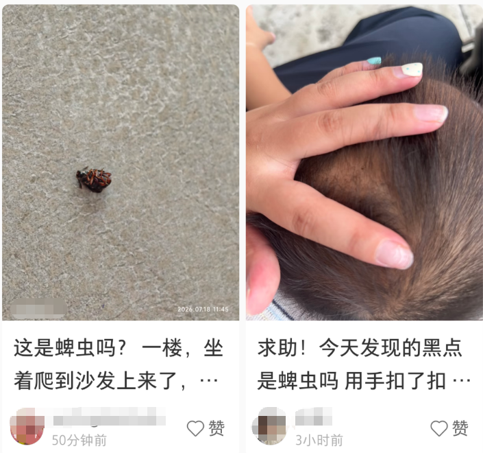 1图1.png