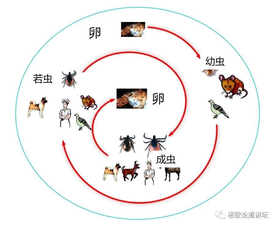1图3.jpg