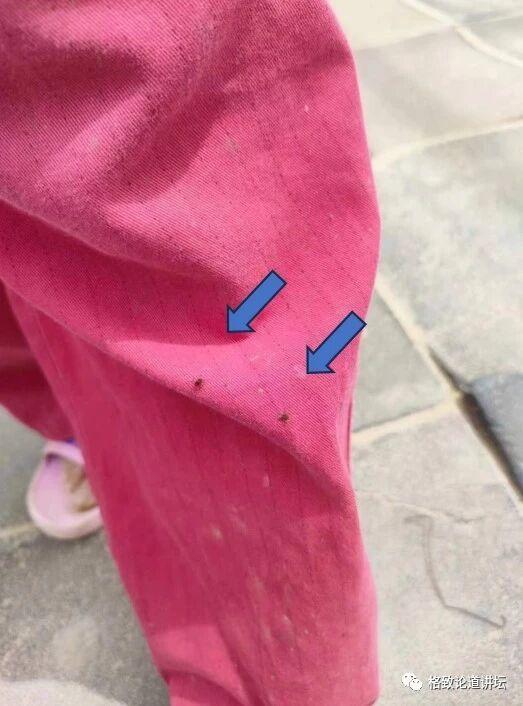 1图5.jpg