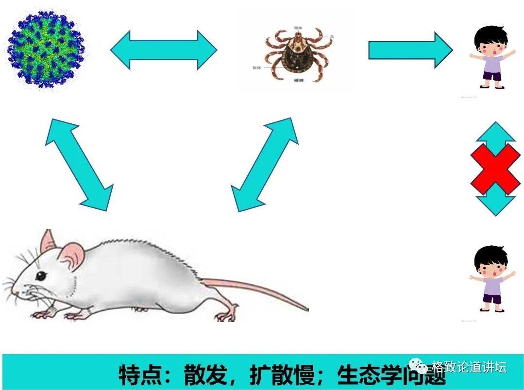 1图6.jpg