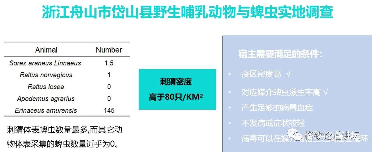 1图13.jpg