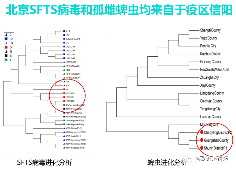 1图16.png