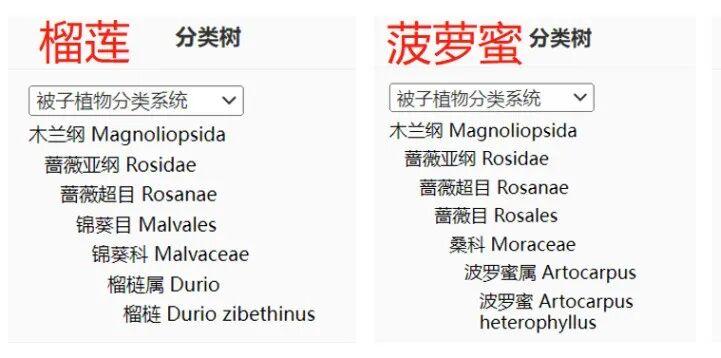 1444124928675839.jpg 2图1.jpg
