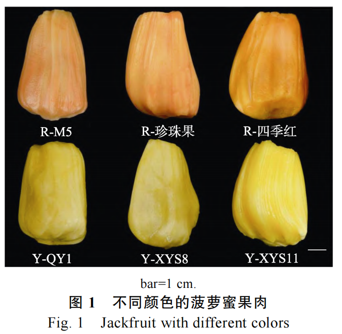 1445004327426283.png 2图3.png