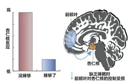 1516373226640020.jpg 1图2.jpg