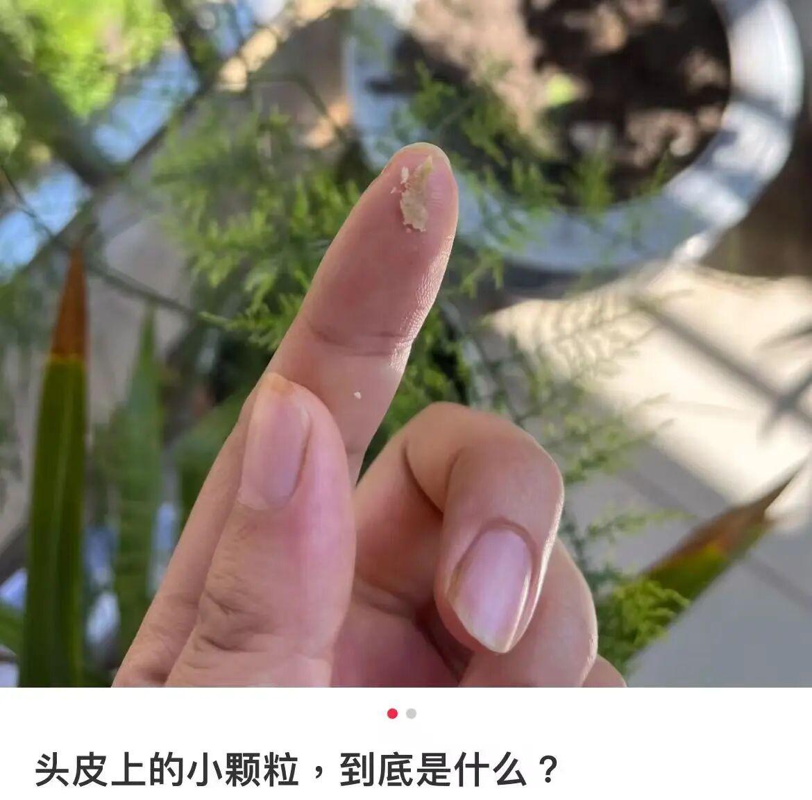 3图1.jpg