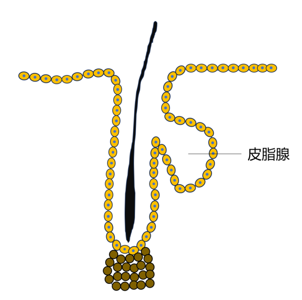 3图3.png