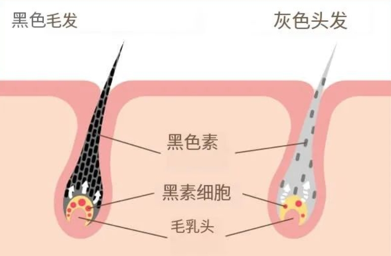 1345455666105066.png 3图1.png