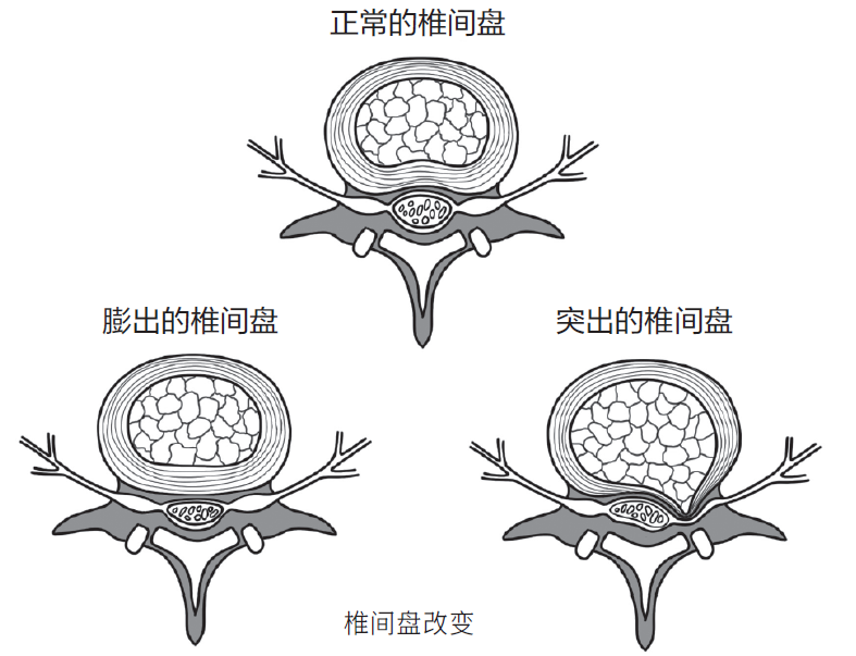 1图2.png