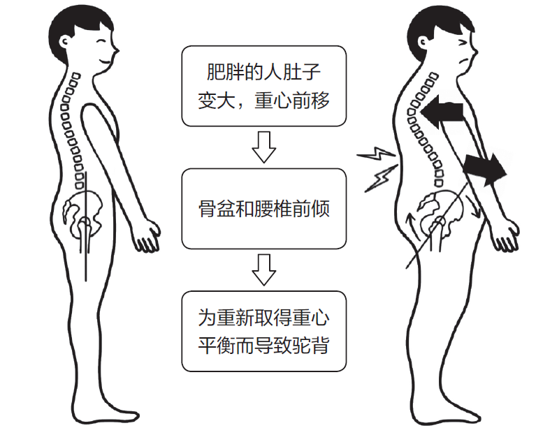 1图3.png