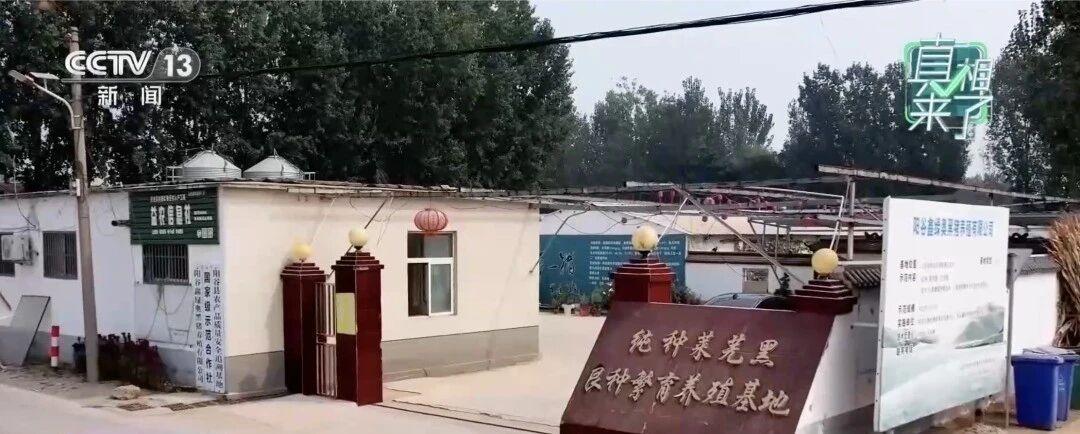 2图2.jpg