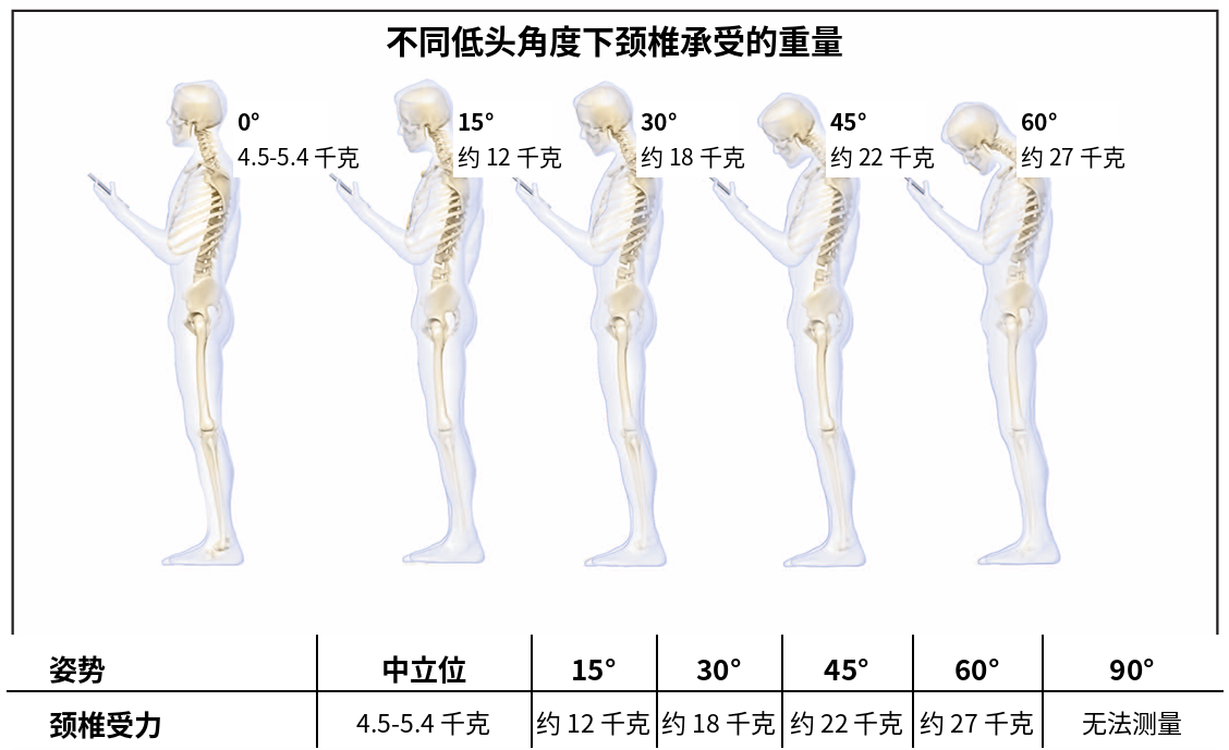 3图1.png